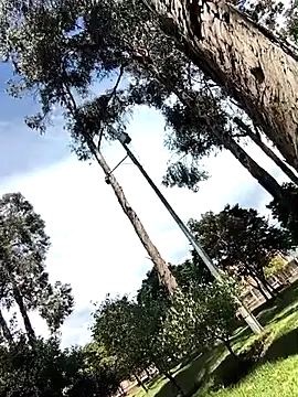 Yaya watson online show from April 2026 06:38:01 PM