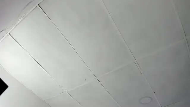 AbonySex69 online show from December 2025 03:11:05 AM