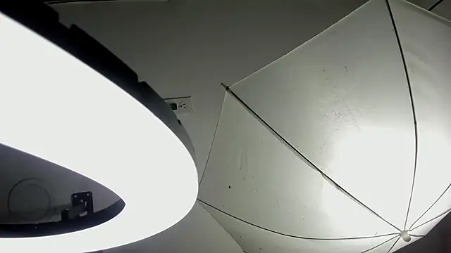 Starbutterflyy  online show from April 2026 04:41:02 AM