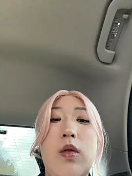 winter11 online show from November 2025 02:10:01 AM