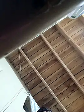 Single lagunero online show from March 2026 08:56:02 AM