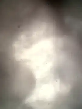 Lamar180 online show from January 2026 04:22:02 PM