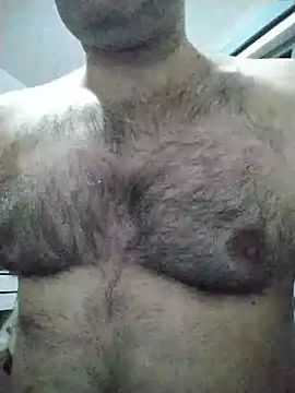 LeoMaduroSP online show from November 2025 03:50:01 AM