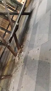 LeoMaduroSP online show from January 2026 11:33:02 PM