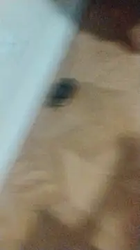 LeoMaduroSP online show from January 2026 12:48:01 AM