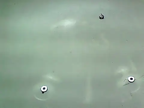 20cmloiro online show from January 2026 05:46:02 AM