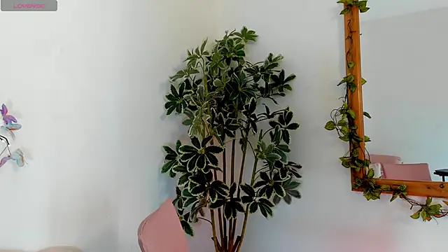 valerieMattson online show from October 2025 04:15:02 PM