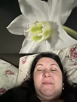 Liza Will online show from February 2026 07:49:02 AM