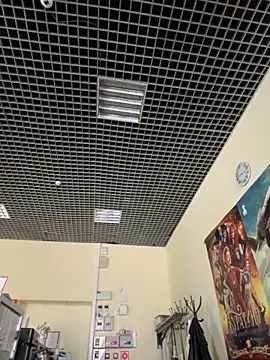 Liza Will online show from November 2025 06:17:02 AM