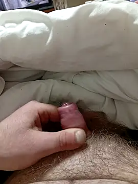 Kubous online show from December 2025 04:41:02 PM