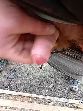 Kubous online show from February 2026 10:49:01 AM