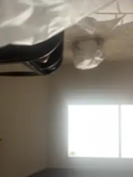 Noa Todokoro online show from November 2025 03:05:01 PM