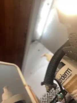 Snapshot of Noa_Todokoro chatting on September 2025 03:02:01 PM Noa Todokoro online show from September 2025 03:02:01 PM