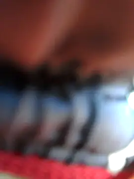 chef82 online show from January 2026 03:08:01 PM