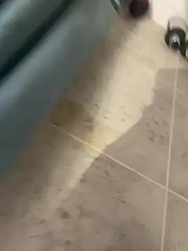 BobKat online show from January 2026 09:12:01 AM