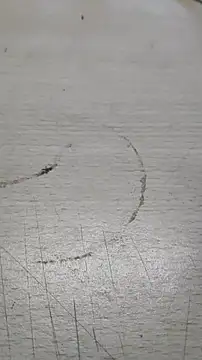 Playboy 089 online show from September 2025 05:09:01 PM