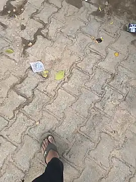 mysticeyes backup online show from November 2025 11:33:02 AM