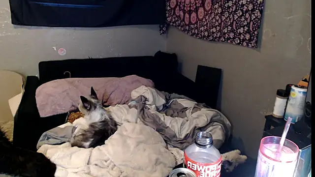 London Ray online show from November 2025 11:47:02 AM