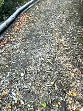 Mlkrrp online show from October 2025 04:30:01 PM