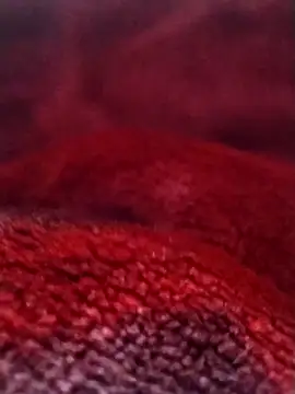 Snapshot of saneer69tew chatting on February 2026 06:13:02 AM saneer69tew online show from February 2026 06:13:02 AM