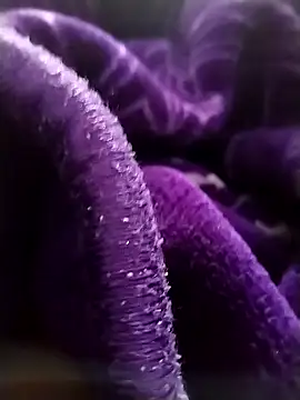 saneer69tew online show from April 2026 06:28:01 AM