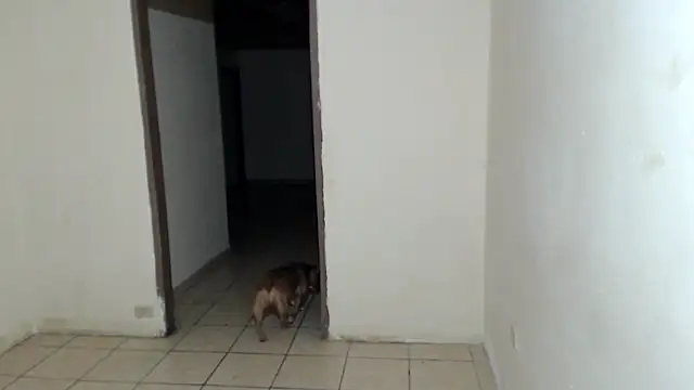 BlondZilla online show from March 2026 07:37:02 AM