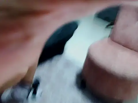 kata-gomez online show from February 2026 03:41:01 AM