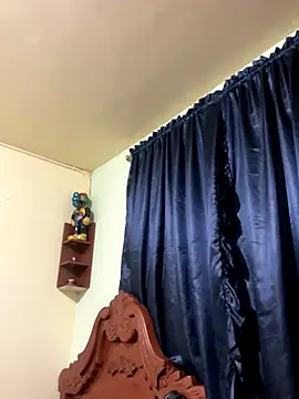 Snapshot of MaxDell chatting on November 2025 08:26:02 AM MaxDell online show from November 2025 08:26:02 AM