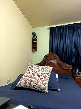 Snapshot of MaxDell chatting on November 2025 05:52:01 AM MaxDell online show from November 2025 05:52:01 AM