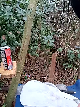 Wilsonn86 online show from December 2025 09:22:02 AM