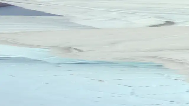 crystal sm online show from September 2025 03:09:02 AM