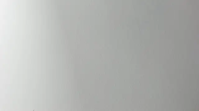 Lady miss    online show from November 2025 12:20:02 PM