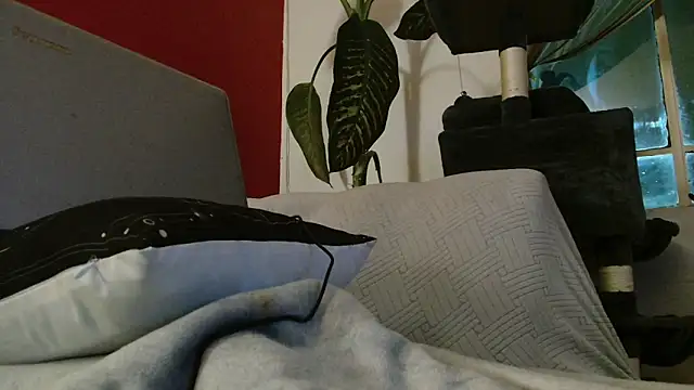 Tulindabonny online show from March 2026 05:02:02 AM