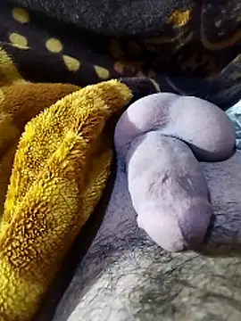 ADAM50001 online show from April 2026 02:41:01 AM