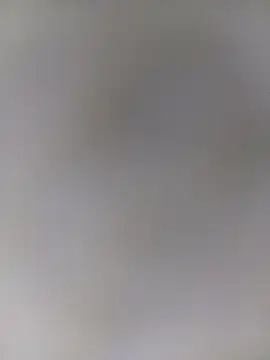 Trisha 71 online show from December 2025 04:47:02 AM