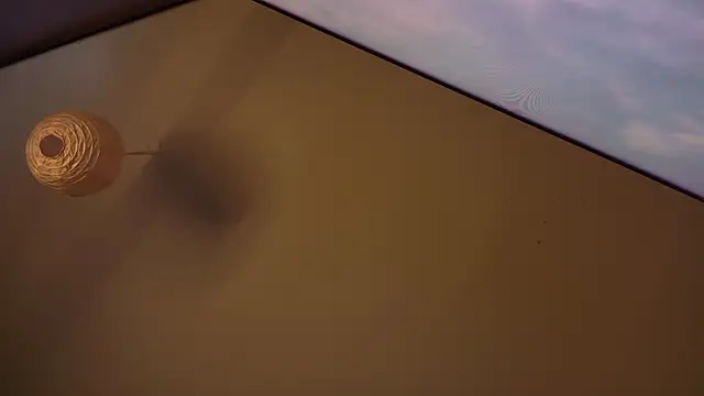 MasterDaddyCool online show from January 2026 07:31:02 PM