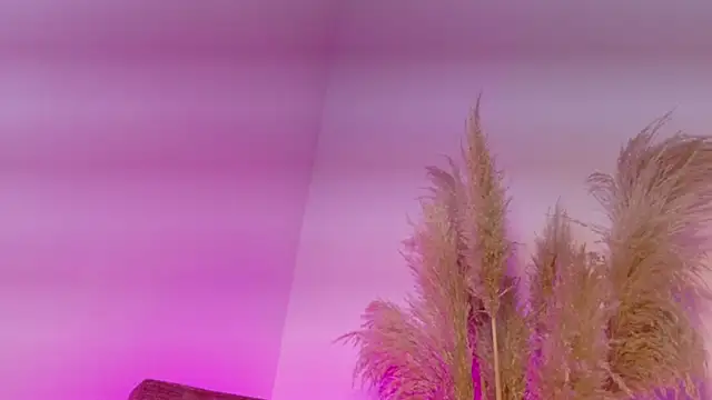 KITY HILL online show from January 2026 04:19:02 AM