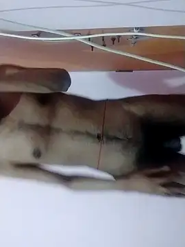 Slim boy 22 online show from March 2026 04:54:02 PM