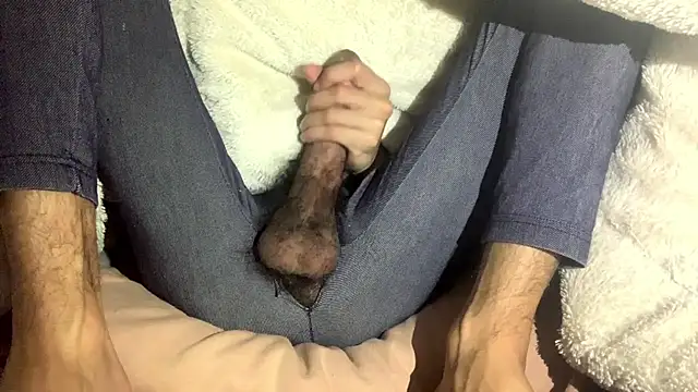 BouncySubsidy online show from November 2025 02:56:01 AM