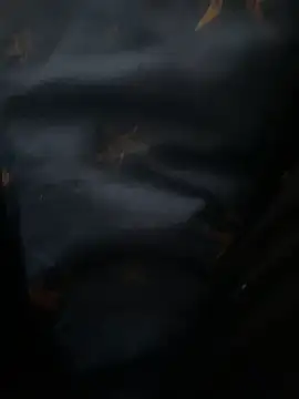 Snapshot of high_geil chatting on December 2025 09:09:02 AM high geil online show from December 2025 09:09:02 AM