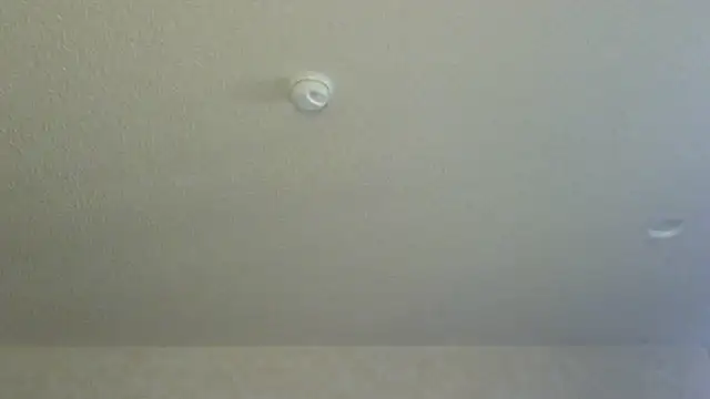 Flossee online show from April 2026 12:18:02 AM