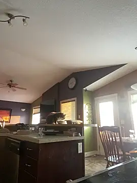 starsaligned online show from January 2026 10:47:01 PM