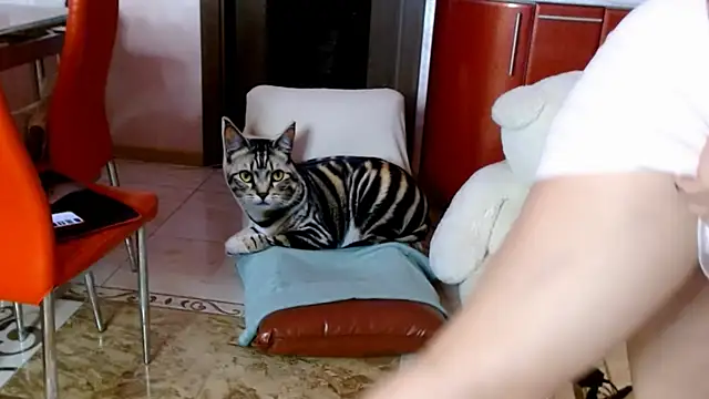 SquirtMilf00 online show from April 2026 03:19:01 AM