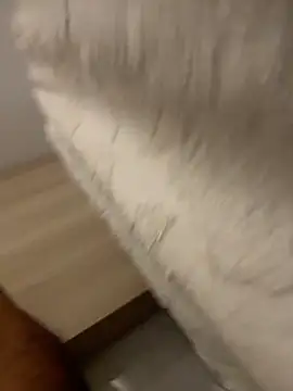 DoctorArabe3 online show from February 2026 11:10:01 AM