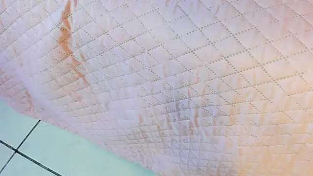  jasmine blush online show from March 2026 01:45:01 PM