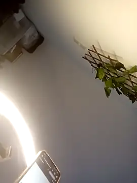 Loiroatv36 online show from April 2026 10:00:02 AM