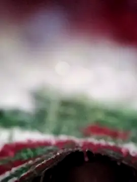 Snapshot of ParousFlow chatting on February 2026 11:32:01 AM ParousFlow online show from February 2026 11:32:01 AM