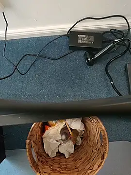 MyDick4You666 online show from March 2026 10:45:01 AM