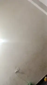 Guriya0076 online show from November 2025 11:09:02 AM