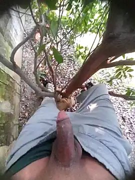 Desi Horny Boys online show from November 2025 06:01:01 AM